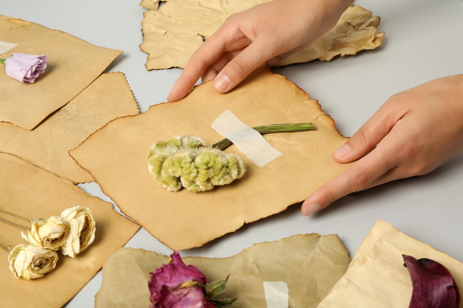 Elegant invitation design